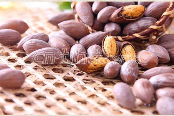 峰奇食品代理加盟,食品招商网创业项目