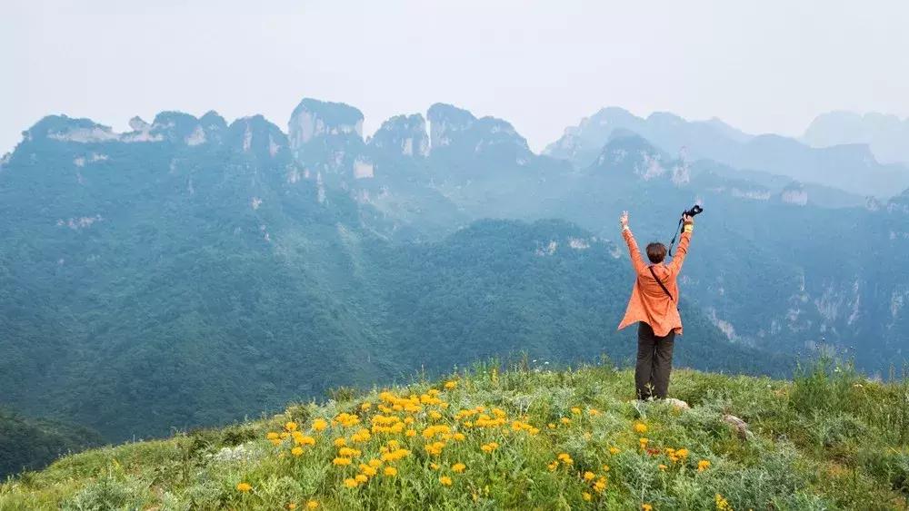 来迟了古诗词,来迟了原版