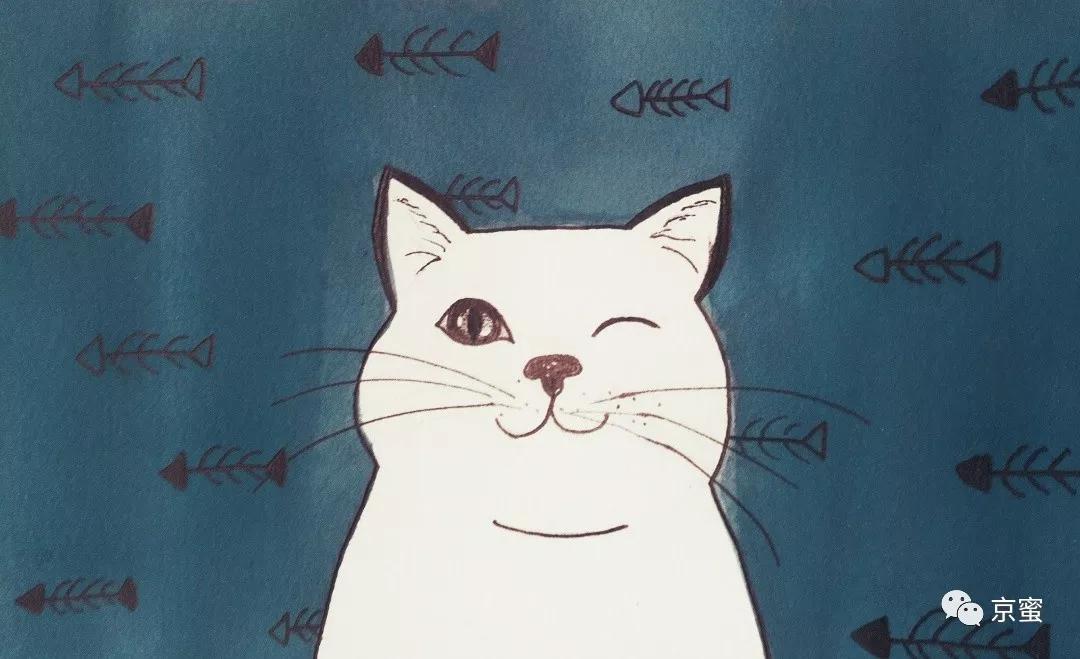 出租屋饲养宠物,出租屋为什么不能养宠物