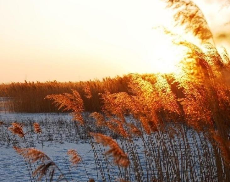 三人行古诗朗诵,三人行诗歌