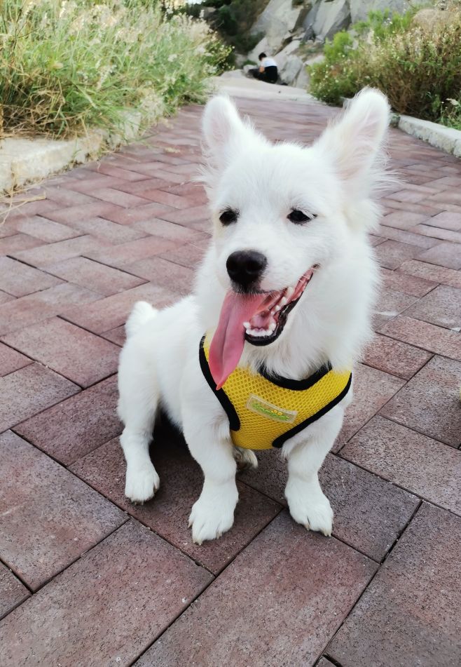 实用的冷知识大全建议收藏哦,十个超有用的冷知识大全