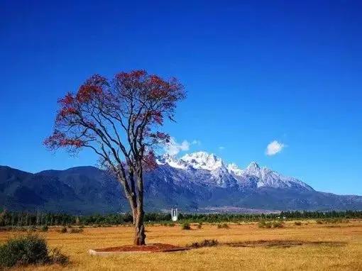 来云南旅游导游带去自己家住,云南旅游顾问工作怎么样啊
