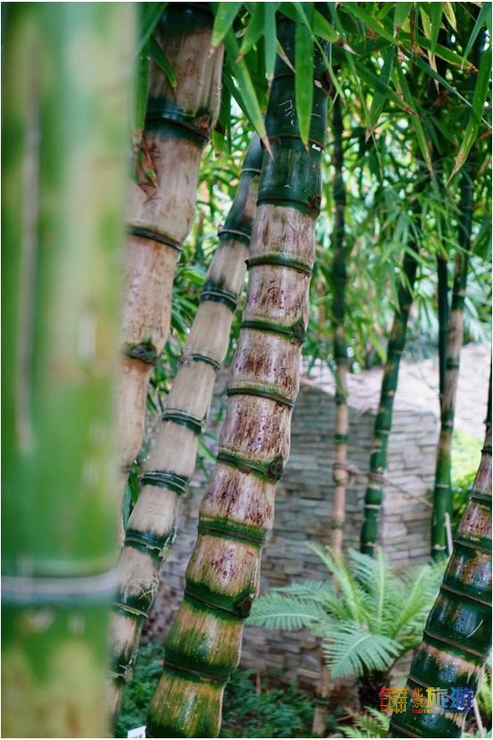 夏天就要去没有太阳的城市避暑,夏天就是要出去玩