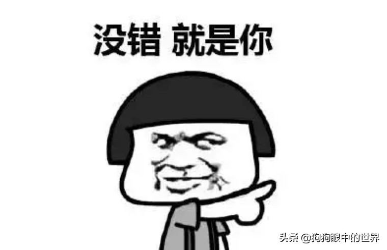 狗狗感冒好了没几天又感冒了,狗狗感冒好了之后还是没精神