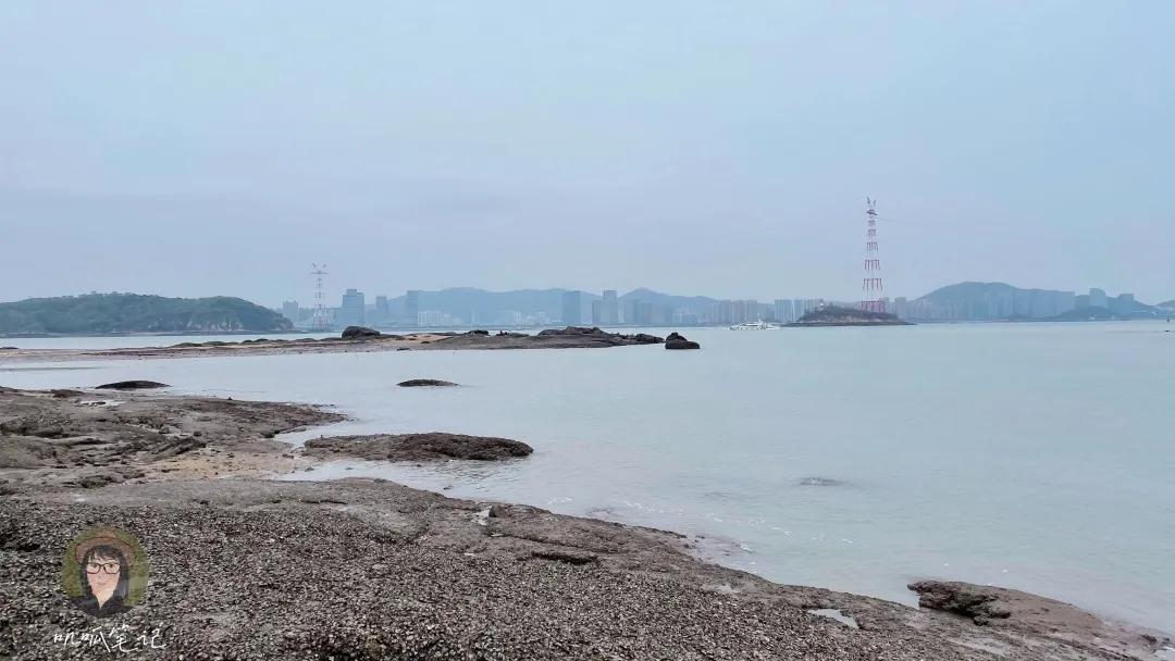 鼓浪屿赶海抓虫,鼓浪屿赶海佛手螺