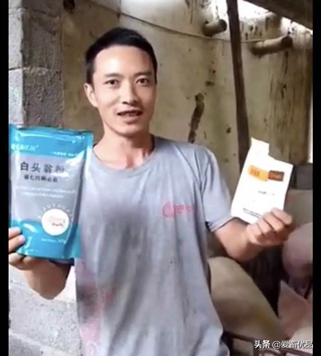 仔猪病毒性腹泻怎么治疗,仔猪传染性腹泻怎么治