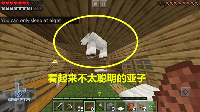 我的世界红色湖泊,我的世界不小心发现心形湖泊