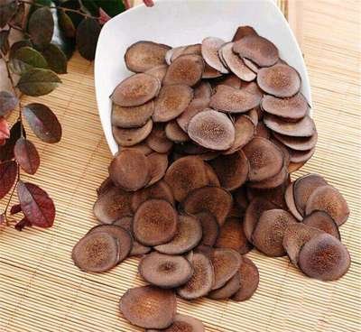 如何挑选优质鹿茸,怎样挑选鲜鹿茸角