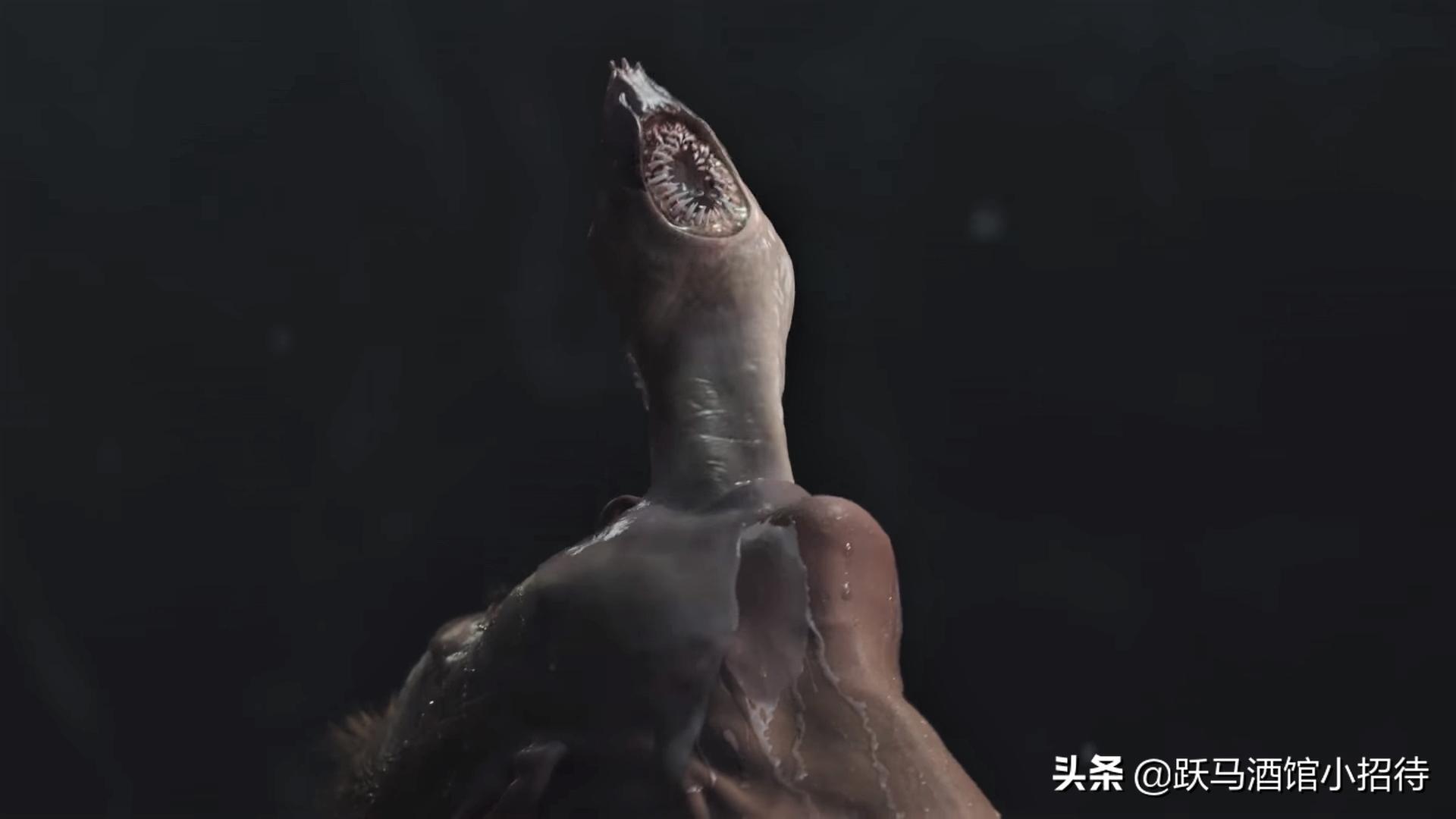 异星灾变那条蛇从哪来,异星灾变鳗鱼结局是什么