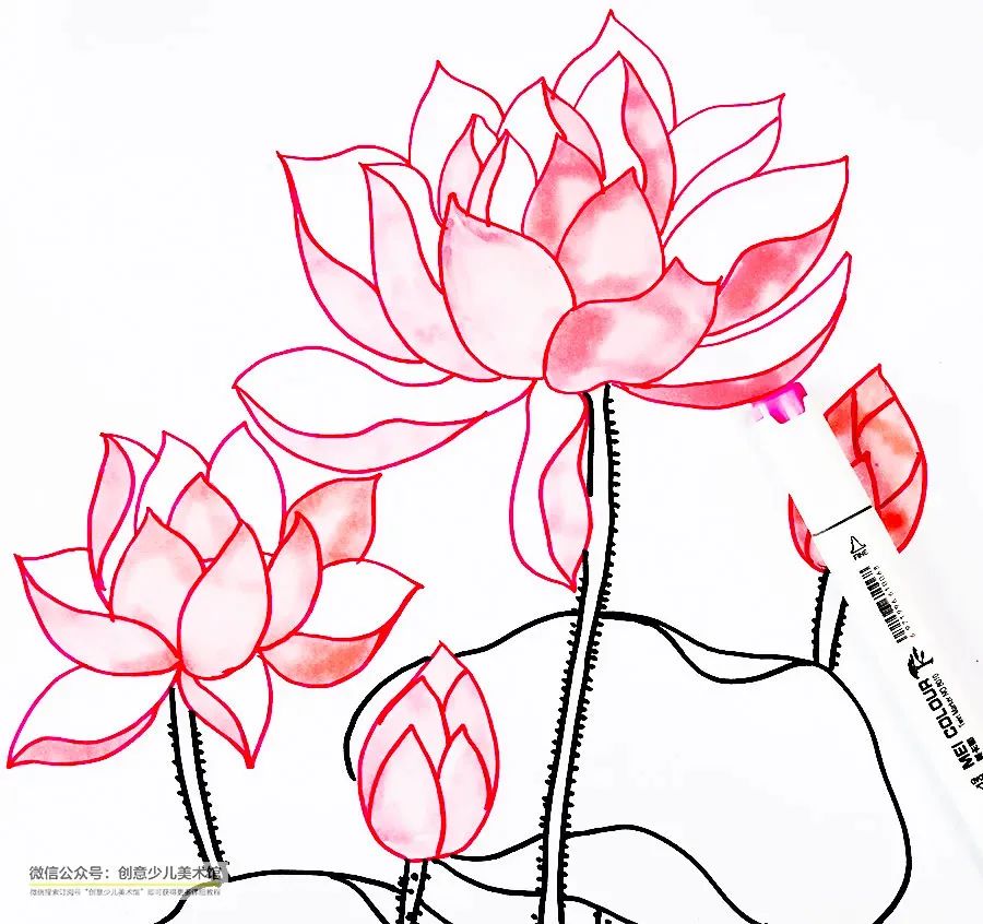 画夏天的荷叶和荷花,儿童画夏天的风景画荷花