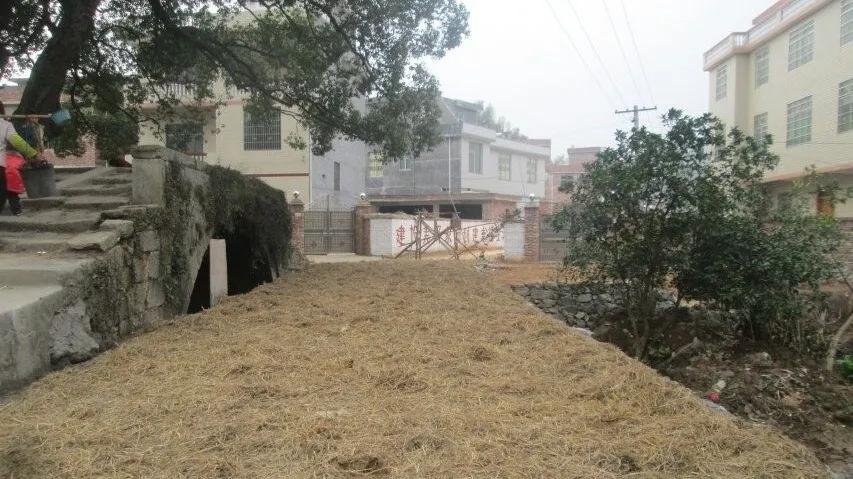 大坪上洛村,深度贫困村打赢翻身仗