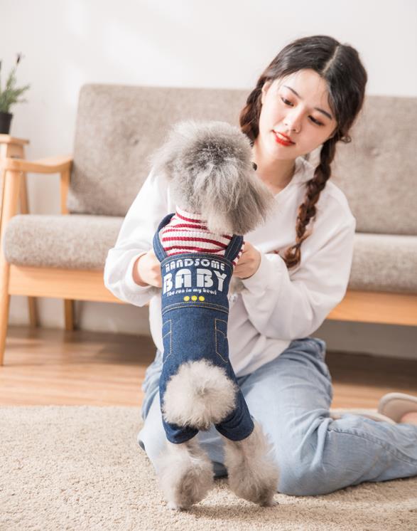 开宠物店的心酸经历 (新手开宠物店的实际经历)