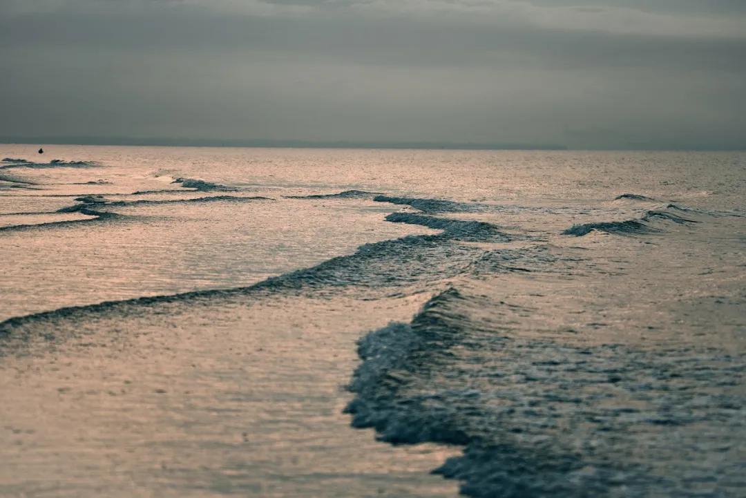 津门网向杰：盈滨半岛夕阳红