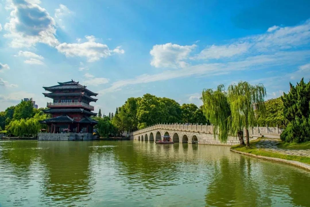 很上头！台湾媒体狂赞合肥！合肥侠们说庐阳的美都在这里