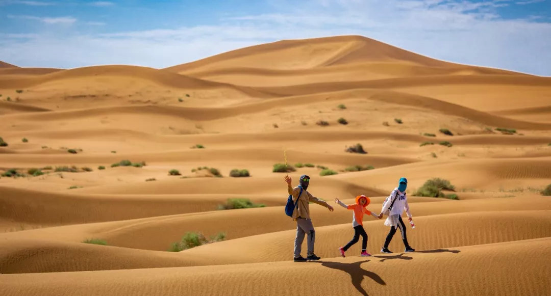 沙漠亲子营价格 (沙漠亲子陪伴营优惠政策)