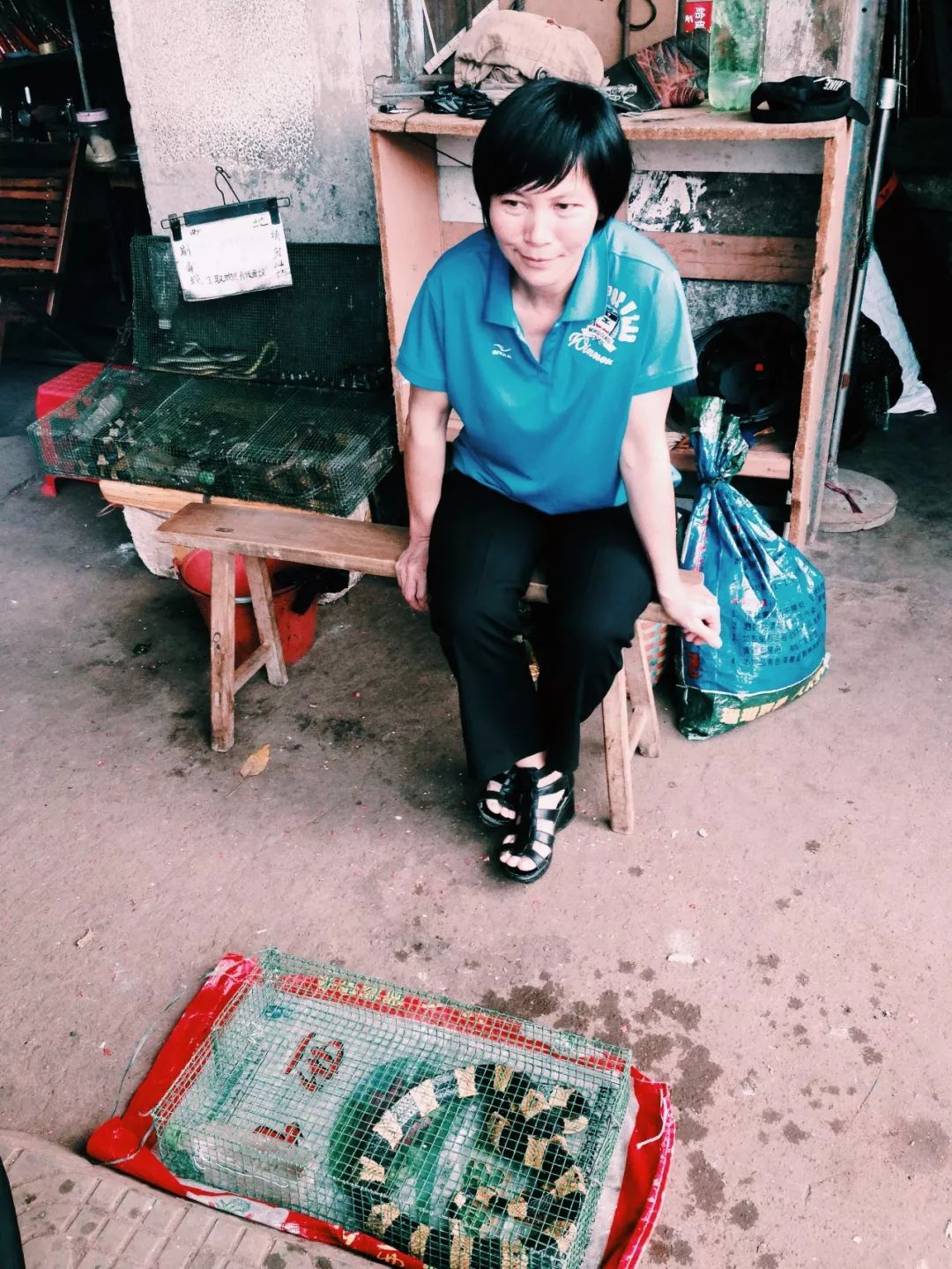 中国哪里还有绿皮火车,中国哪个城市绿皮火车最多