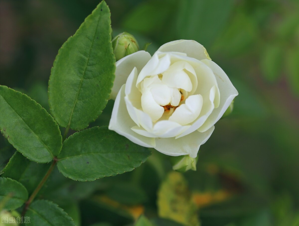 愿时光不老愿我们常在青春易逝,愿时光不老我们不散留住美好时光