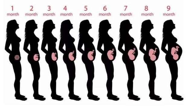 孕妇耻骨痛是因为什么原因造成的,孕妇耻骨痛每次一般会持续多久