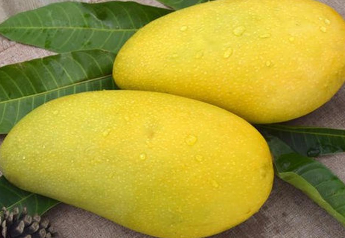 一到四月份都有什么水果,4月份能买到的水果有哪些