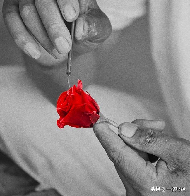 ROSEONLY超越想象营造最佳浪漫氛围