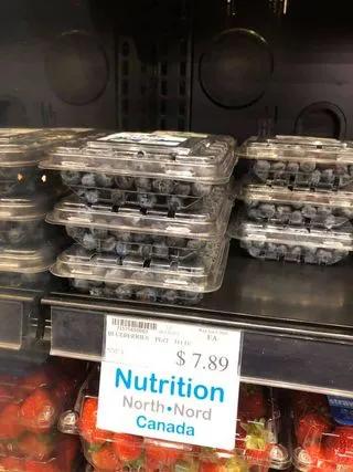 猎杀海豹，吃肉不吃素？！原住民们怒怼动保组织：站着说话不腰疼