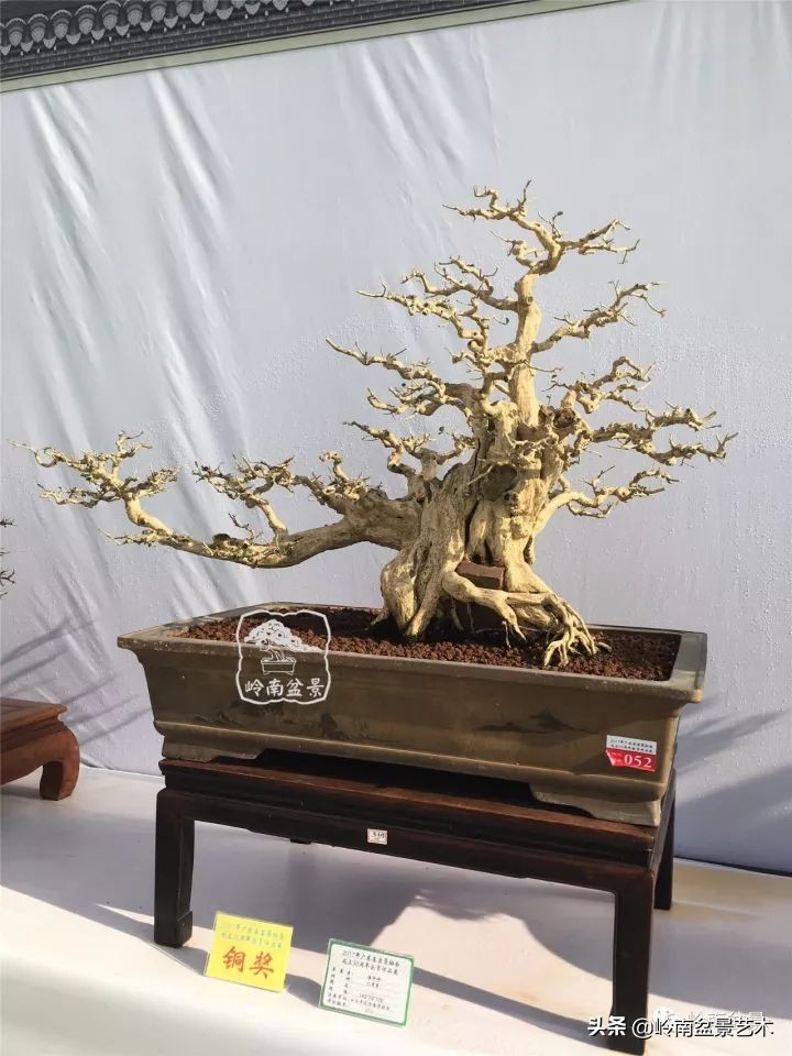 骞哥涔呬箙鐢滅敎铚滆湝,骞哥涔呬箙