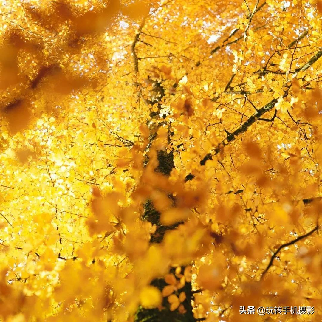 日式小清新调色技巧,文艺小清新调色教程