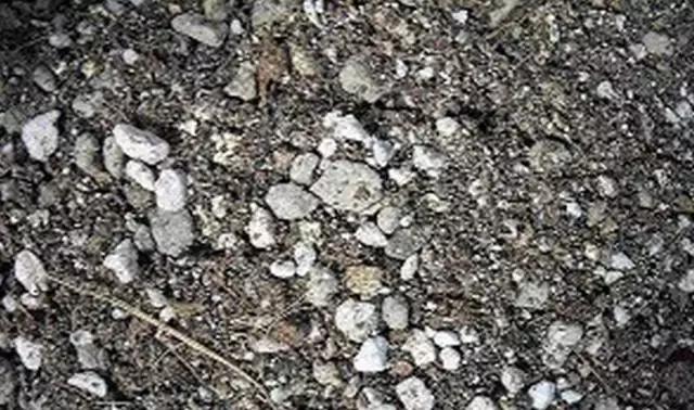 多肉创意土和多肉土的区别,养多肉最实惠的土是什么土