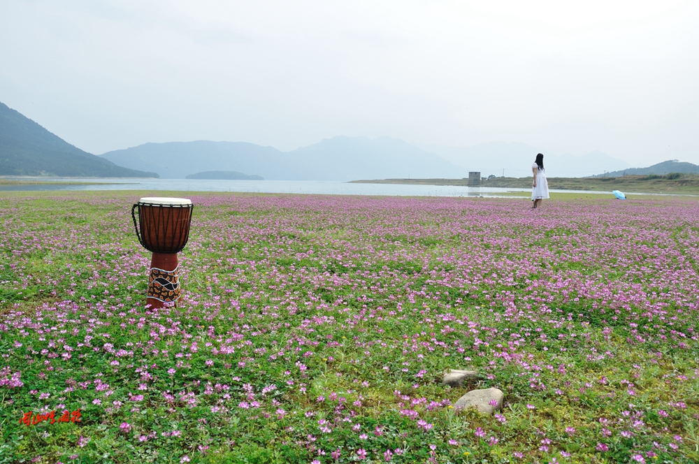 一春芳意，三月如风，日长风静，花影闲相照。