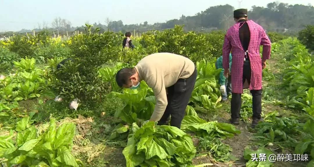 爱心企业主捐赠物资助力家乡抗疫,爱心企业慷慨解囊助力疫情防控