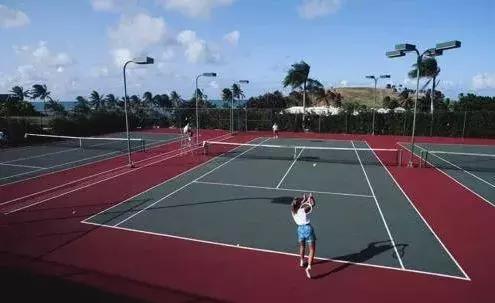 今年网球赛事在哪里举办,网球总奖金和冠军奖金