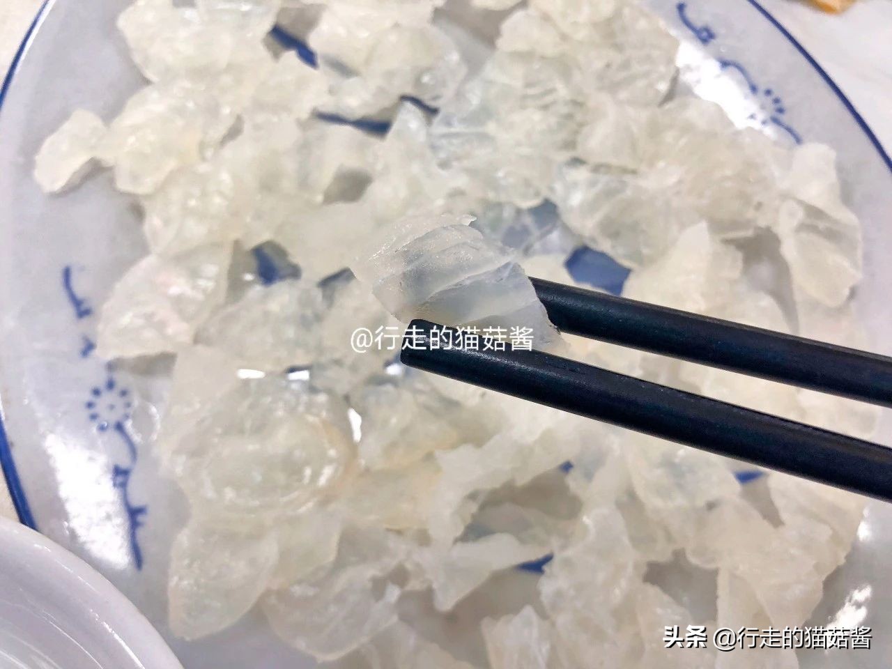 顺德渔山肝吸虫,广州鱼生肝吸虫