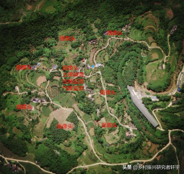 乡村振兴特色产业的重要特征是,乡村振兴一二三产业分别指什么