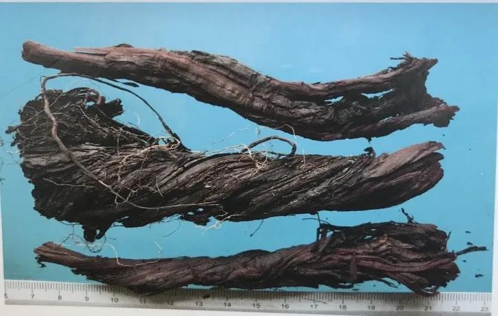 紫草中含哪些有效成分,紫草膏的紫草是什么样子