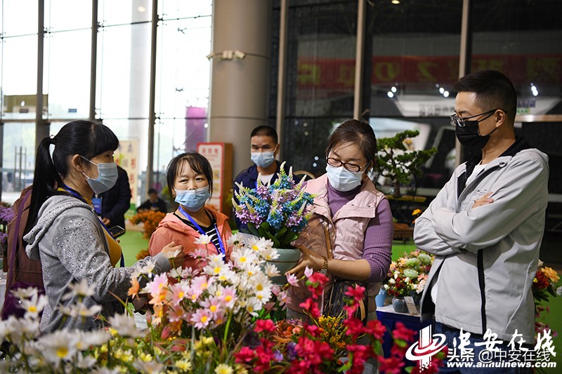 2020年中国合肥苗木交易会,2012中国合肥苗交会