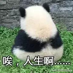 广东人讲普通话原声,广东人讲普通话笑翻一条街