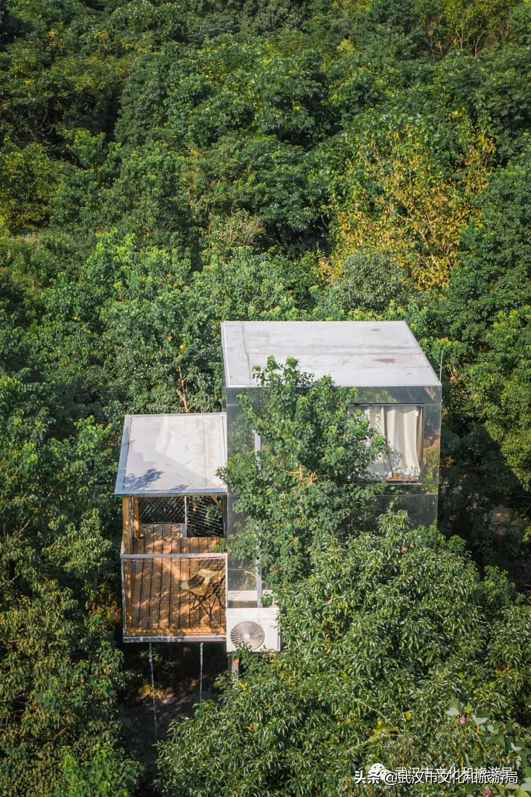 蔡甸区游玩,蔡甸在哪里