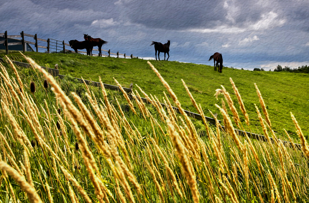 拍马都追不上的成语,拍马都赶不上的成语