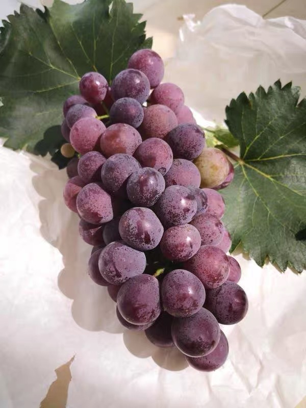 这6种水果不容错过,这6种水果记得多吃