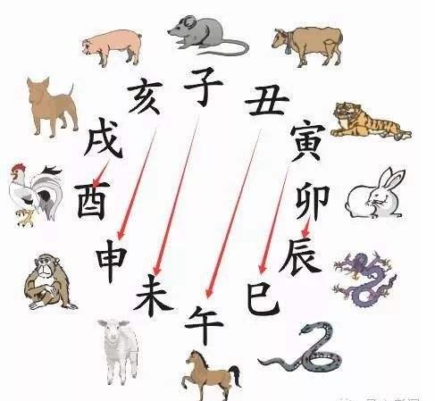 十二生肖蛇的来历简介,12生肖里面的蛇的来历和文化