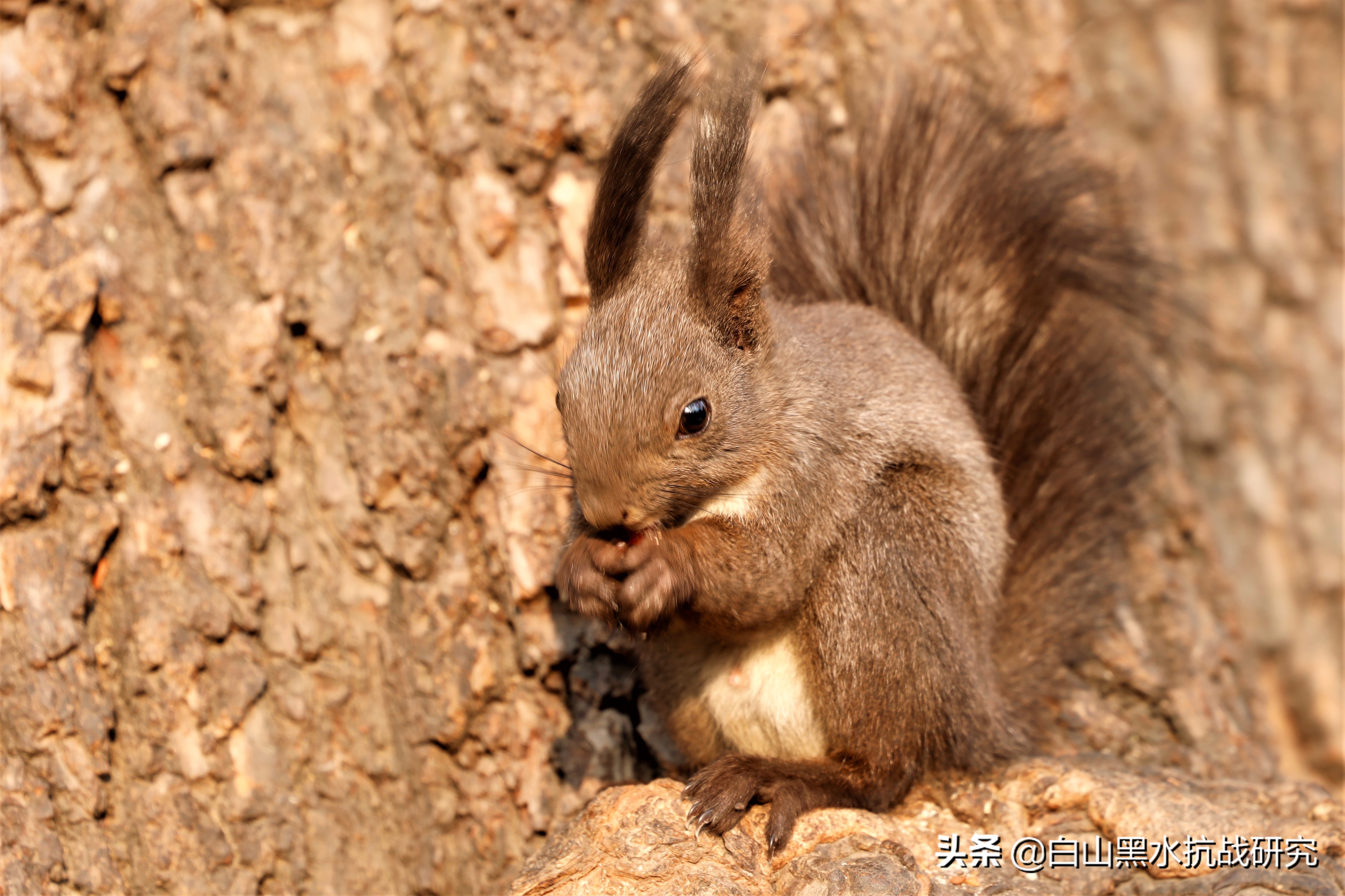 为什么我买的佳能r8只有4k50帧,佳能eosrp全画幅微单