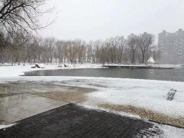 辽宁省普通高等院校,辽宁省沈阳本科大学