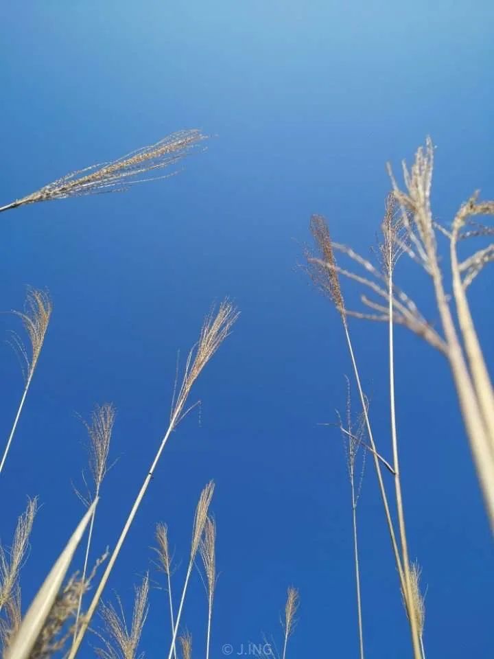 疫情期间静心修养,疫情期间要静心吗为什么