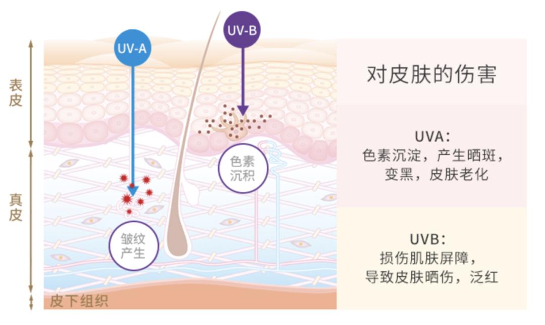 强推这几款防晒亲测好用,不闷痘不破坏皮肤的平价防晒