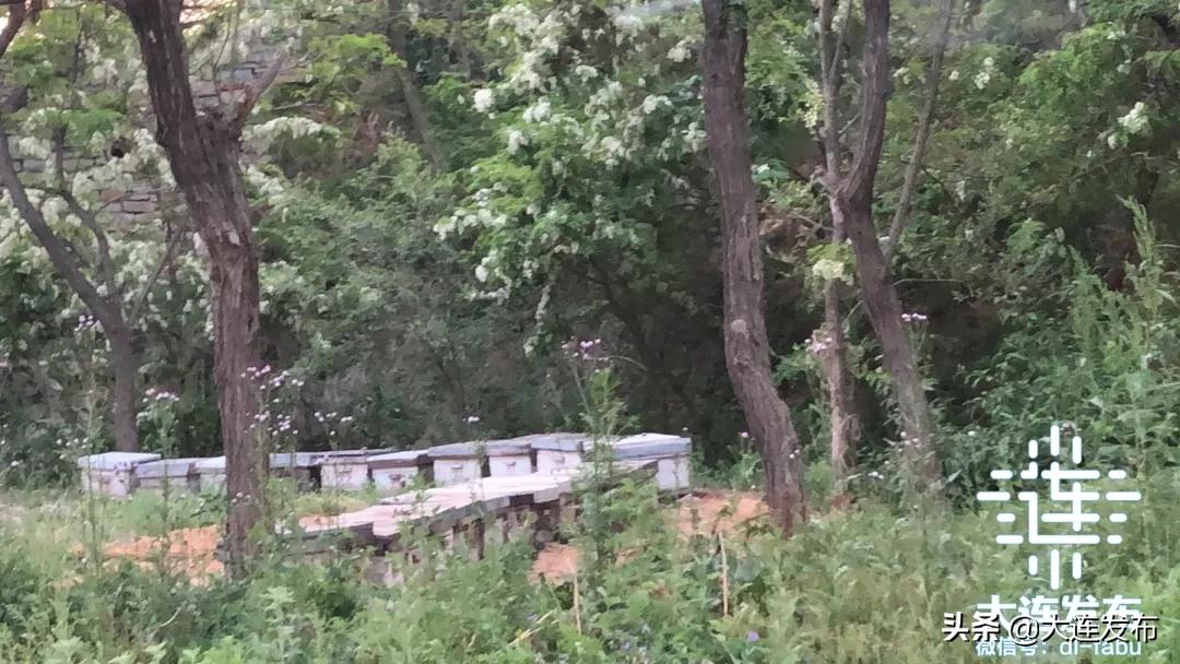 一个极美的露营地,槐之乡露营地