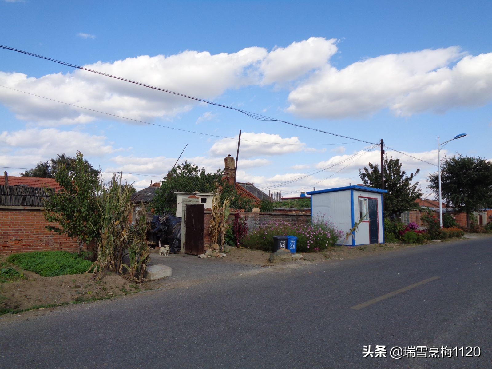 沈北新区依路村,沈北新区马刚乡地图