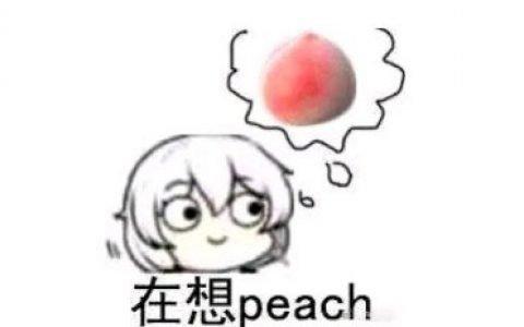 支付宝宠物保险值得买吗,支付宝上的保险值得买吗