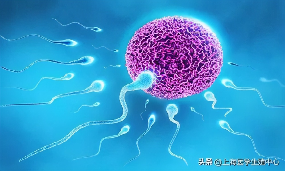 试管婴儿取完卵防止腹水,试管婴儿取完卵怎么调养身体