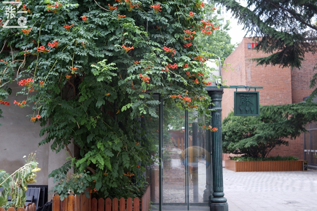 适合索尼a7m4的50定焦镜头测评,索尼a7m4镜头24-105f4测评