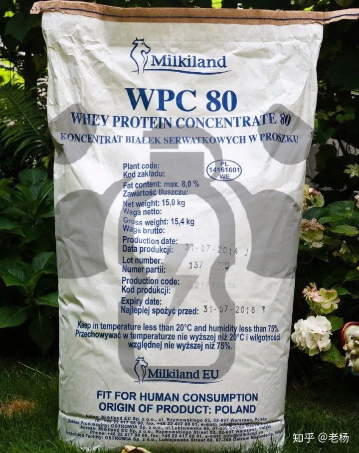 健身吃纯蛋粉可以么,健身要吃很多鸡蛋清